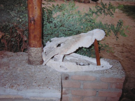 lebka niláka Malawi.JPG