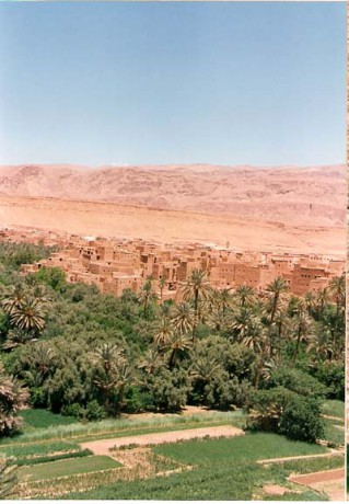 oáza,Maroko.jpg
